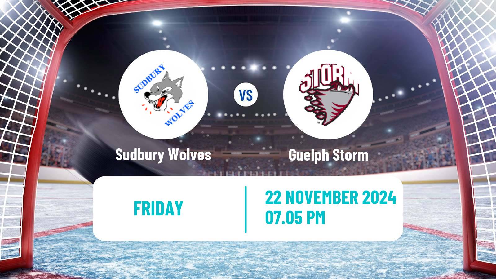 Hockey OHL Sudbury Wolves - Guelph Storm