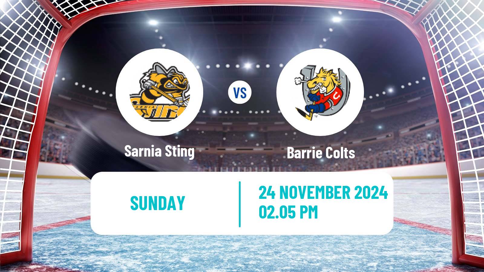 Hockey OHL Sarnia Sting - Barrie Colts