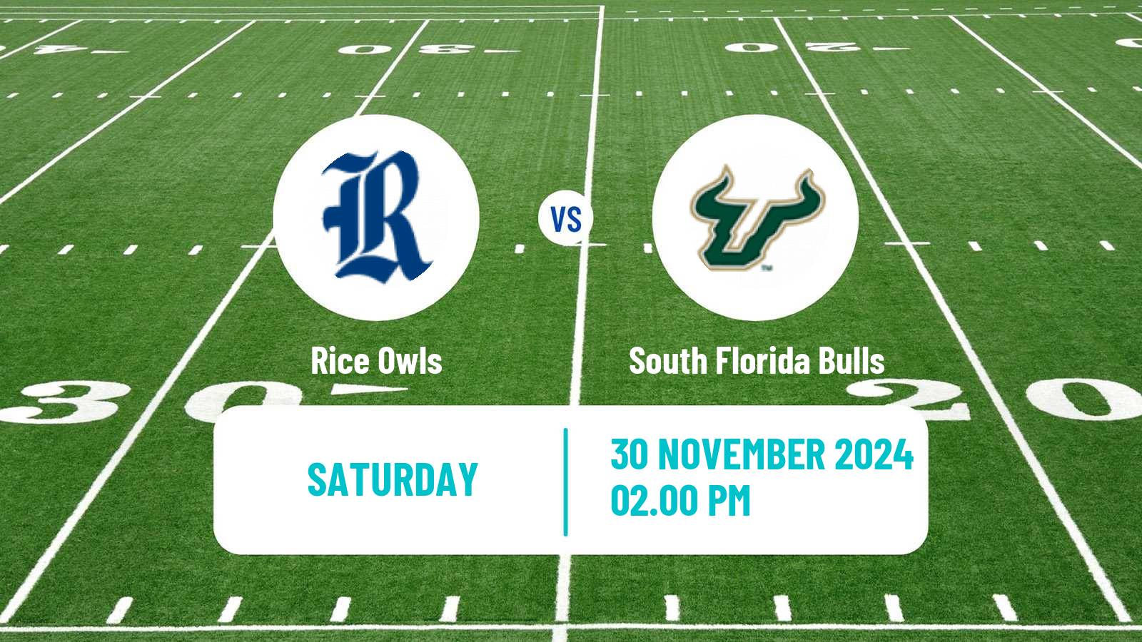 American football NCAA College Football Rice Owls - South Florida Bulls