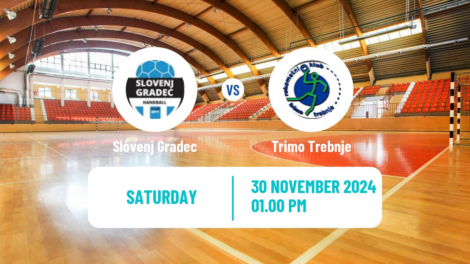 Handball Slovenian 1 NLB Liga Handball Slovenj Gradec - Trimo Trebnje