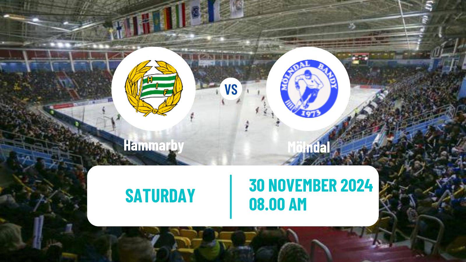 Bandy Swedish Elitserien Bandy Women Hammarby - Mölndal