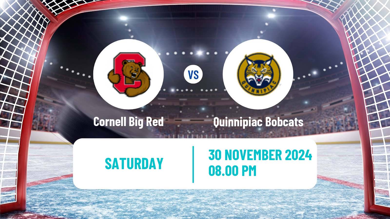 Hockey NCAA Hockey Cornell Big Red - Quinnipiac Bobcats