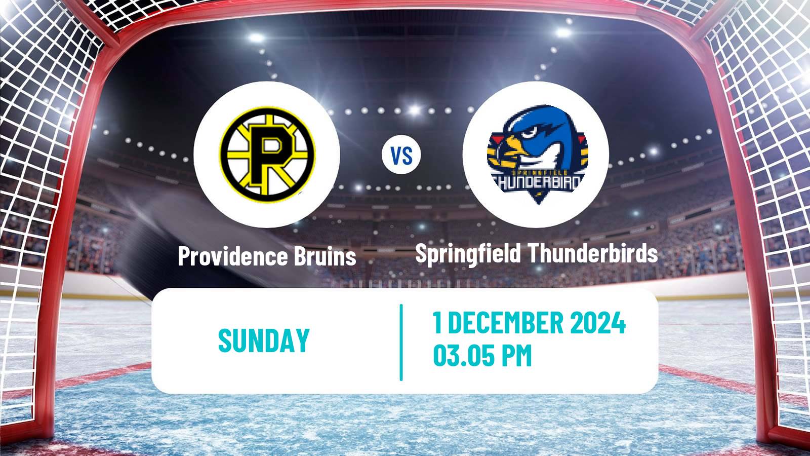 Hockey AHL Providence Bruins - Springfield Thunderbirds