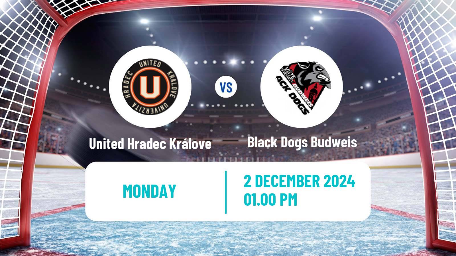 Hockey Czech ULLH United Hradec Králove - Black Dogs Budweis