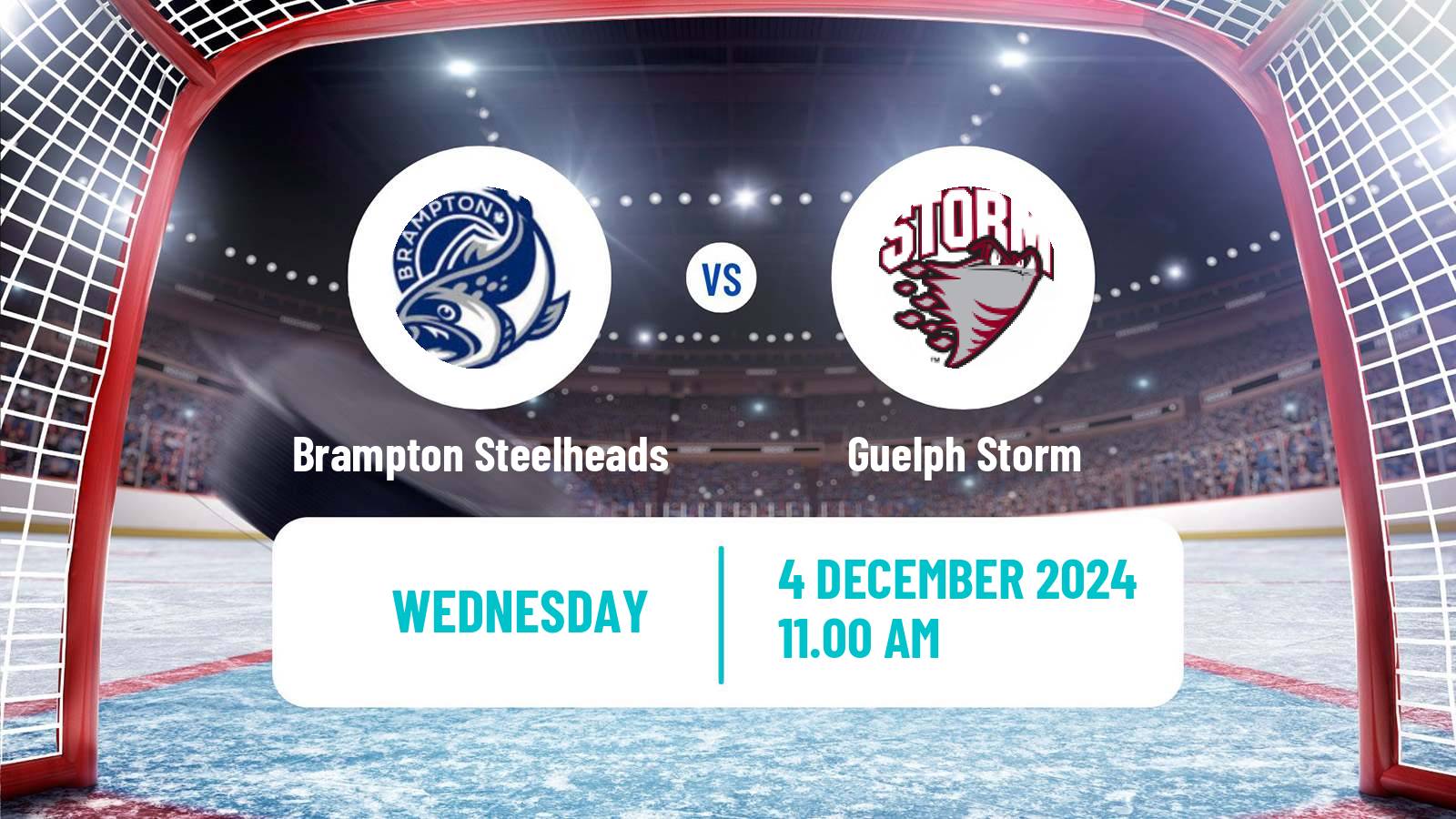 Hockey OHL Brampton Steelheads - Guelph Storm