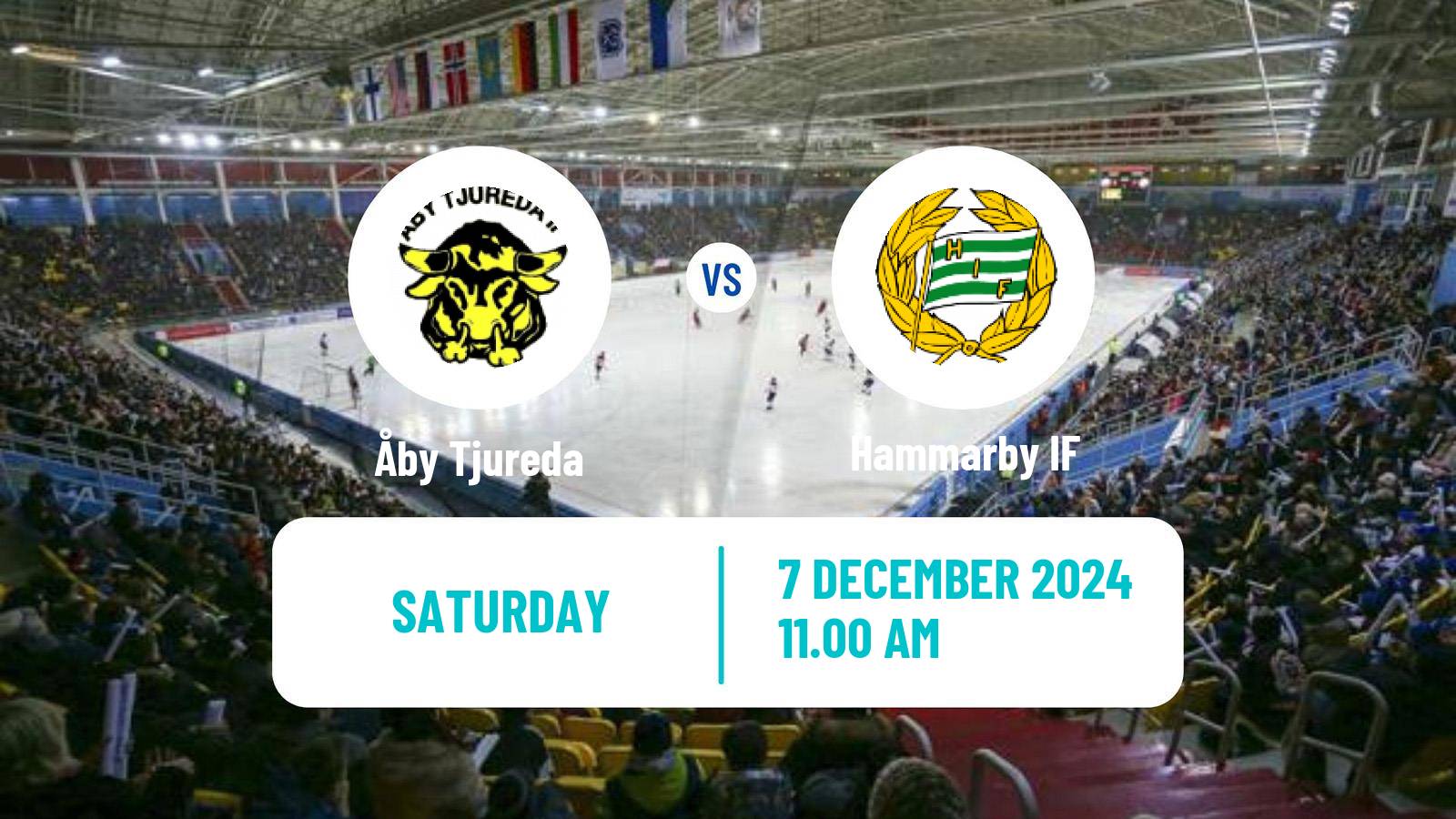 Bandy Swedish Elitserien Bandy Åby Tjureda - Hammarby IF