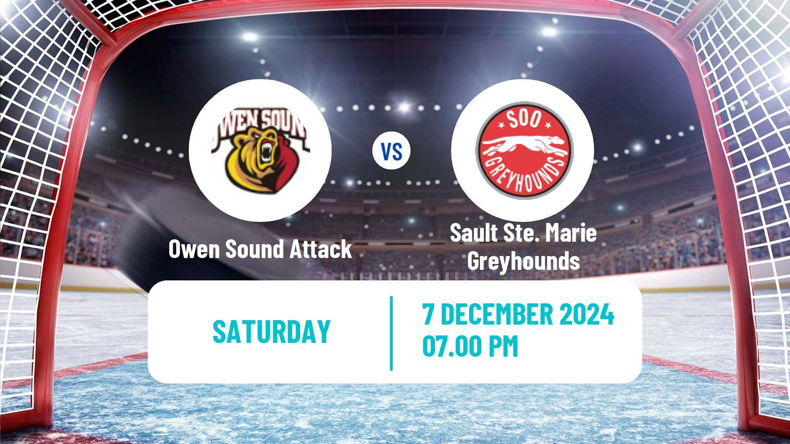 Hockey OHL Owen Sound Attack - Sault Ste. Marie Greyhounds