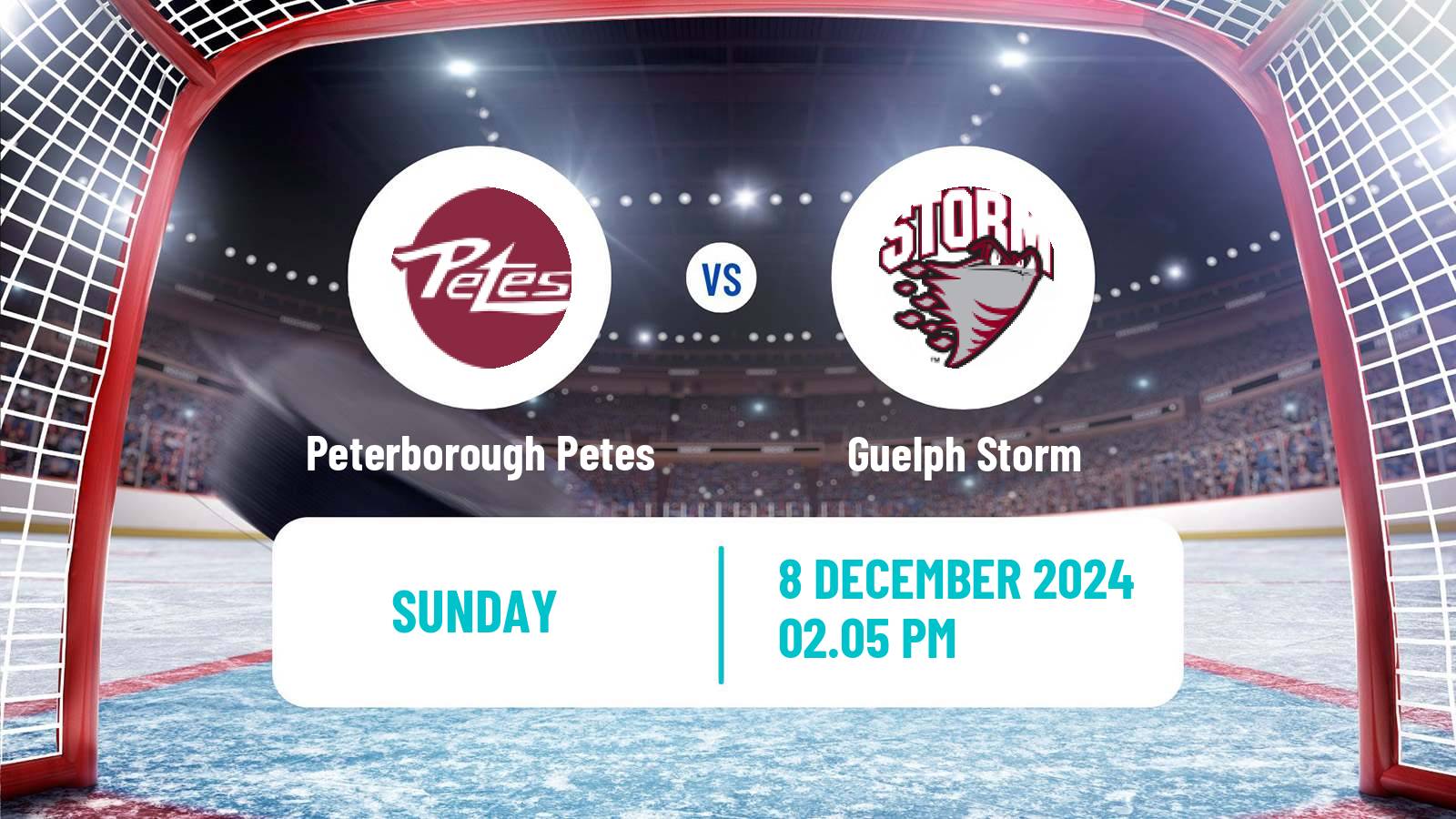 Hockey OHL Peterborough Petes - Guelph Storm