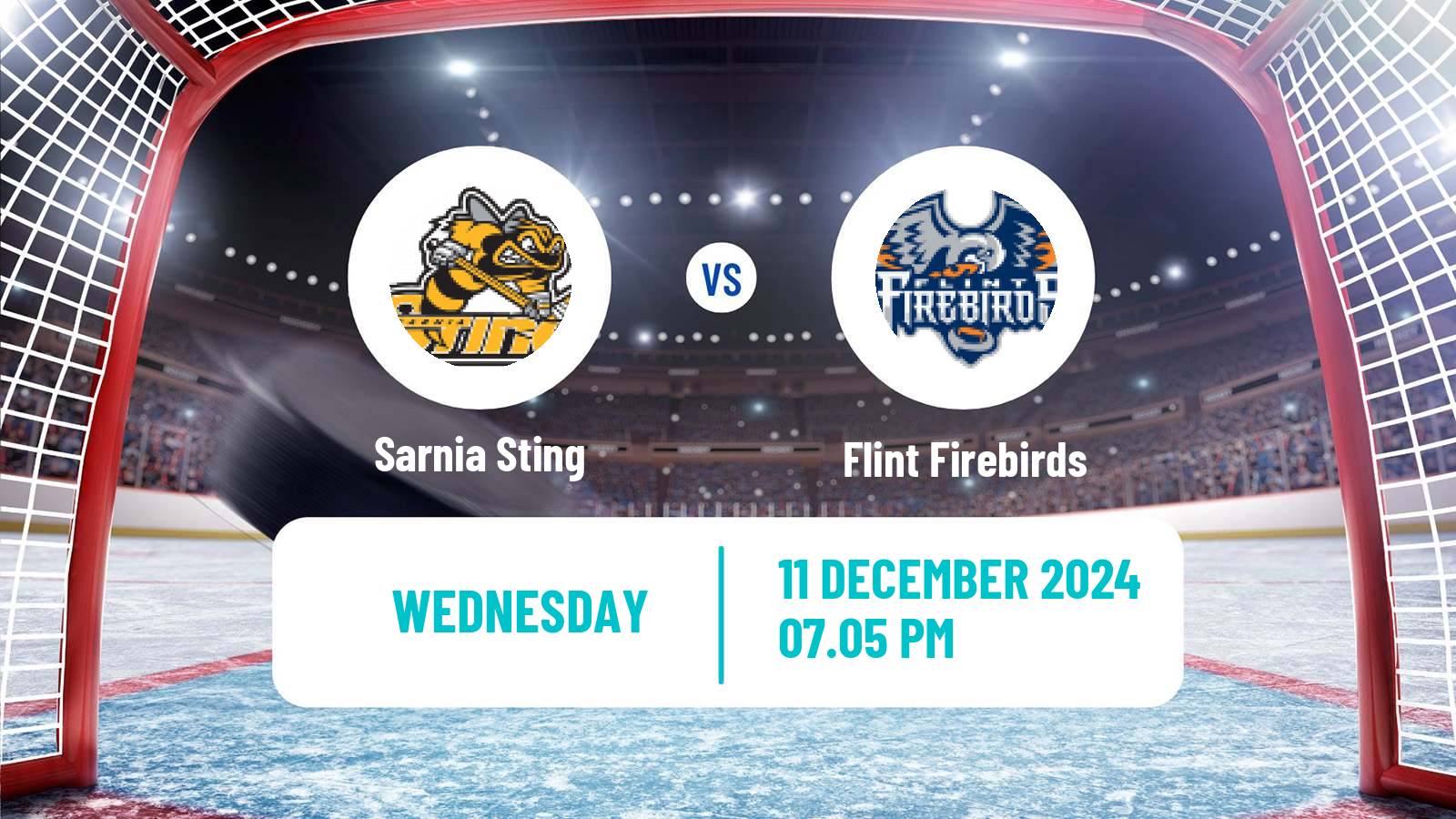 Hockey OHL Sarnia Sting - Flint Firebirds