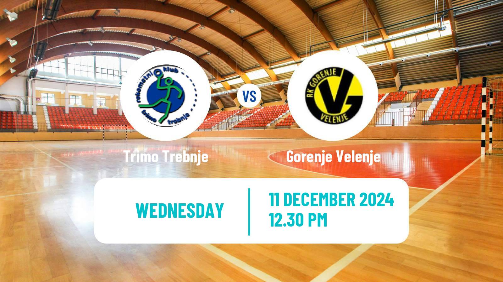 Handball Slovenian 1 NLB Liga Handball Trimo Trebnje - Gorenje Velenje