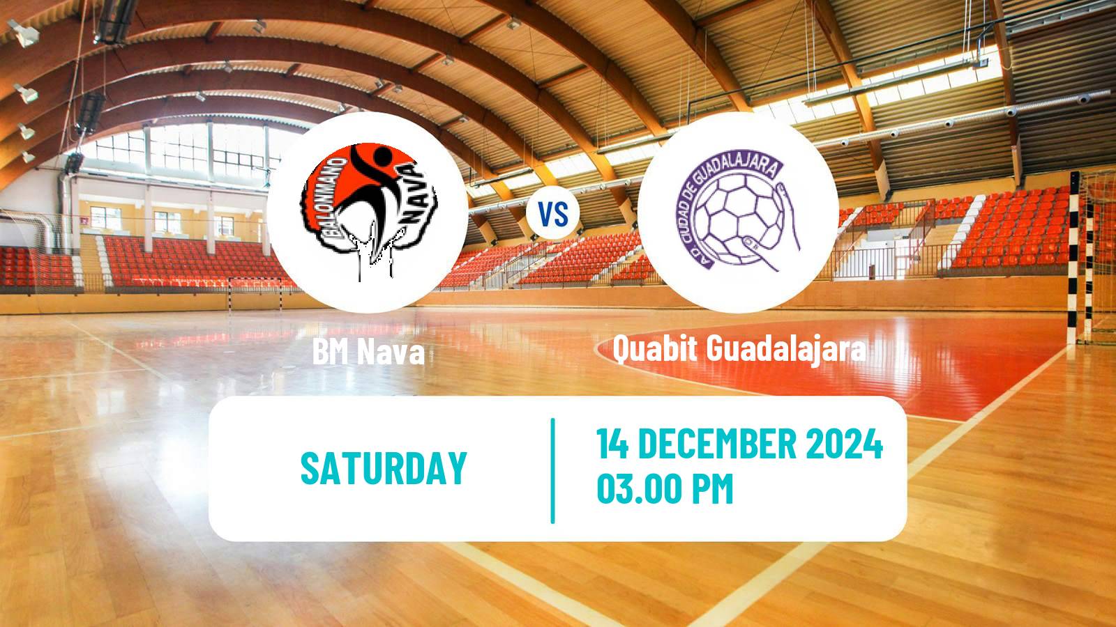 Handball Spanish Liga ASOBAL Nava - Quabit Guadalajara