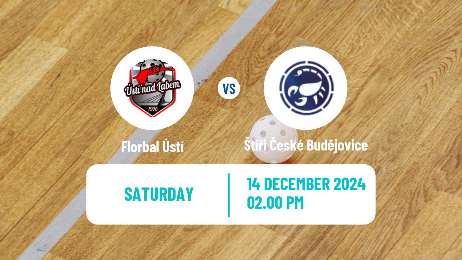 Floorball Czech 1 Liga Floorball Florbal Ústí - Štíři České Budějovice