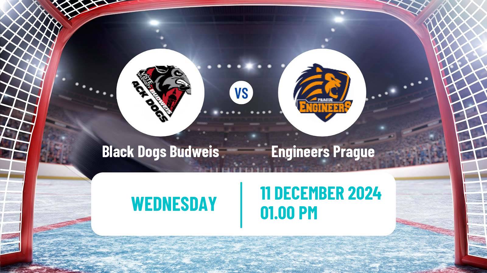 Hockey Czech ULLH Black Dogs Budweis - Engineers Prague