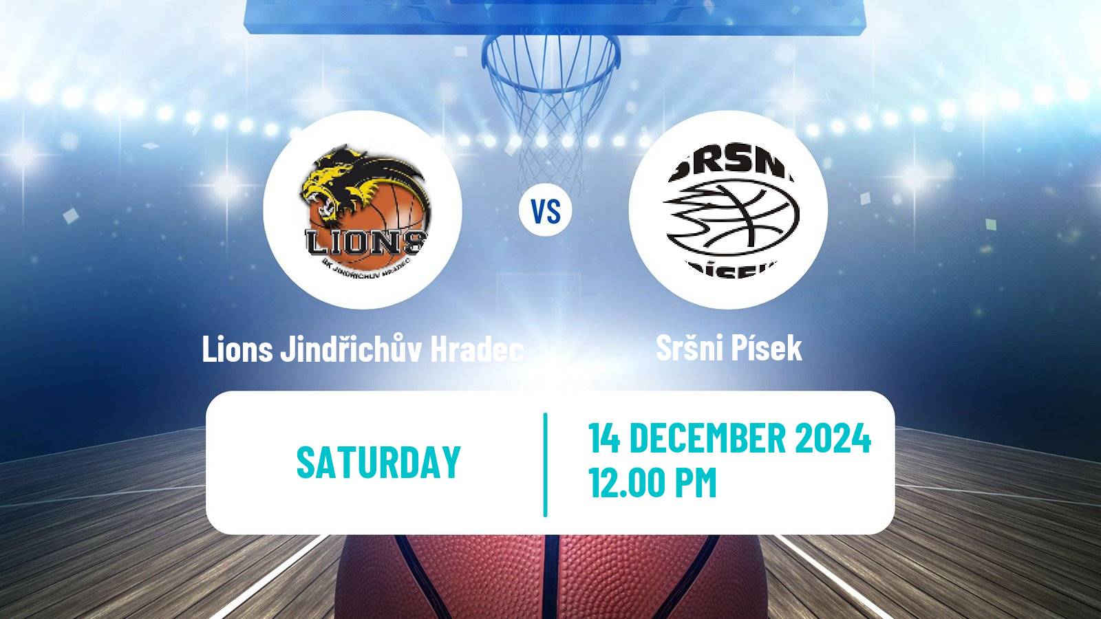 Basketball Czech NBL Lions Jindřichův Hradec - Sršni Písek