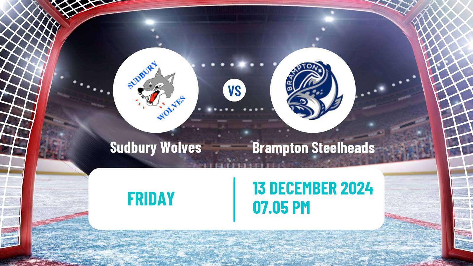 Hockey OHL Sudbury Wolves - Brampton Steelheads