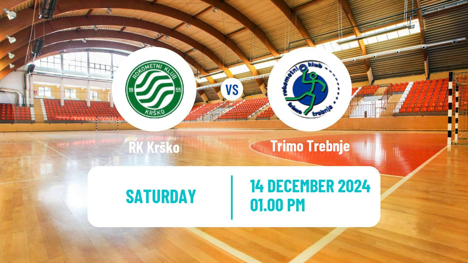 Handball Slovenian 1 NLB Liga Handball Krško - Trimo Trebnje