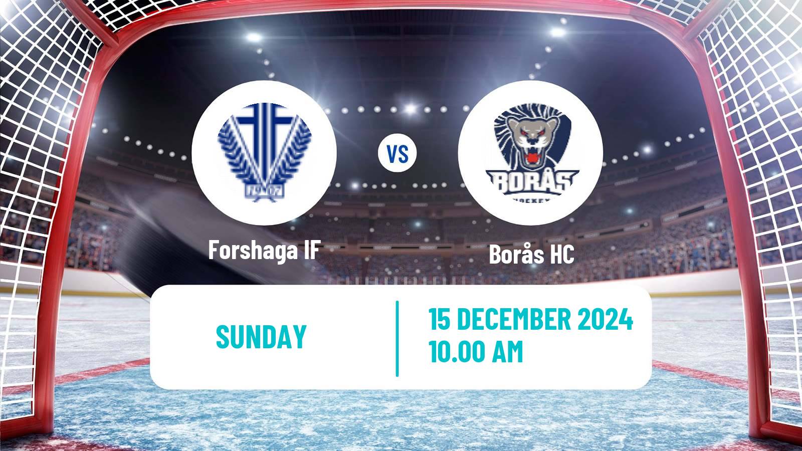 Hockey Swedish HockeyEttan Vastra Forshaga - Borås