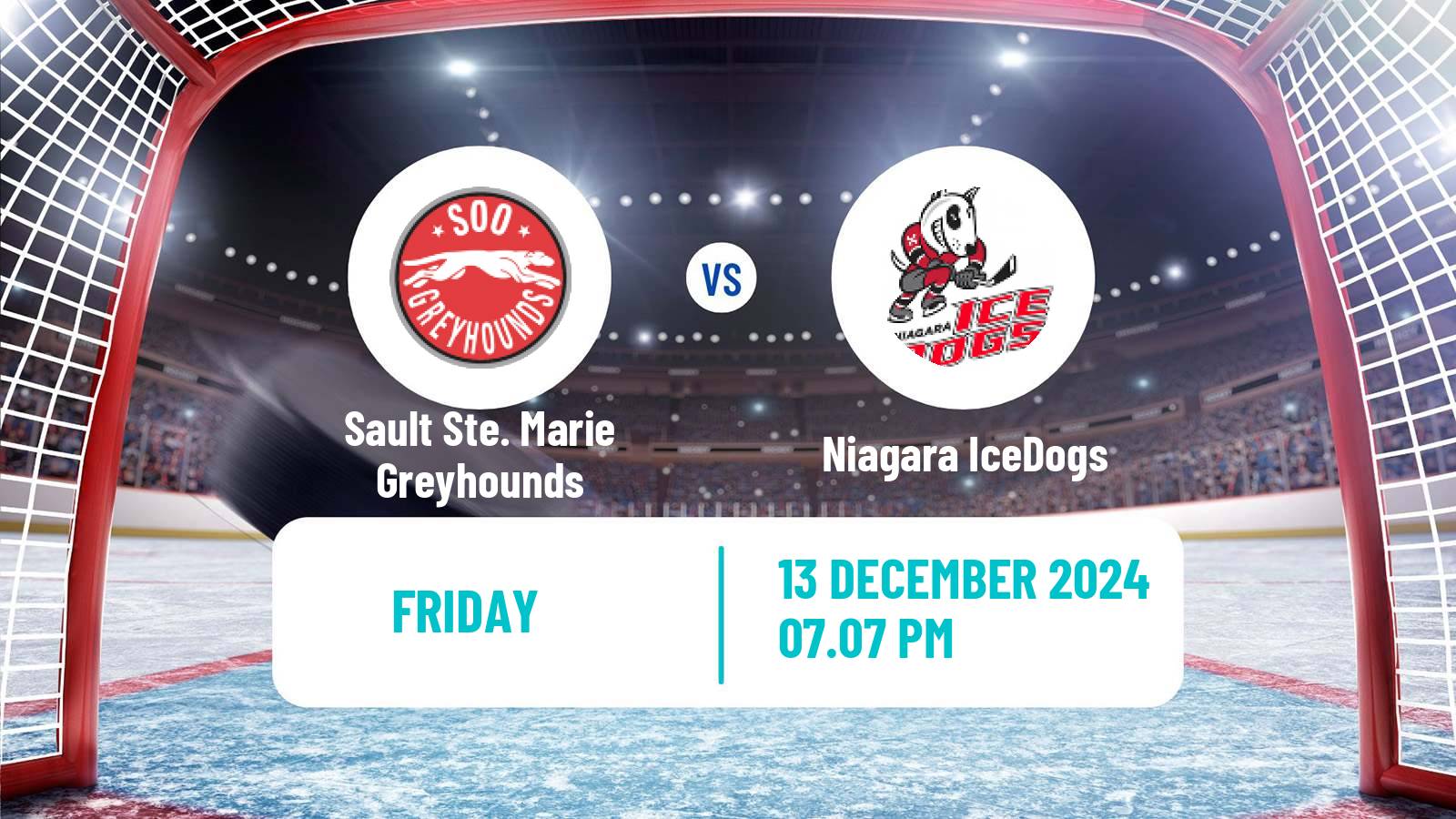 Hockey OHL Sault Ste. Marie Greyhounds - Niagara IceDogs