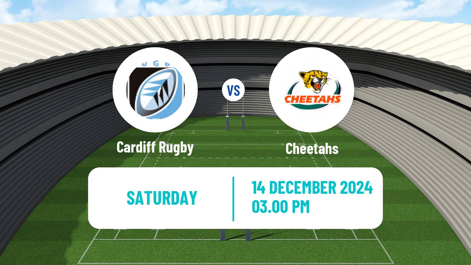 Rugby union Challenge Cup Rugby Cardiff Rugby - Cheetahs