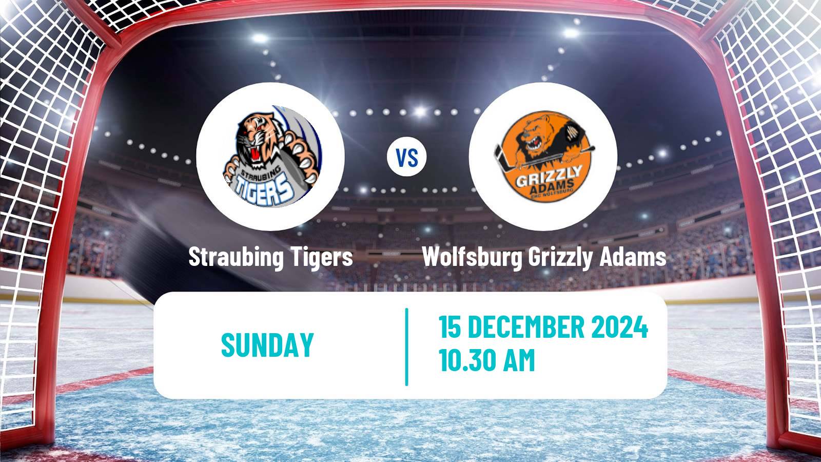 Hockey German Ice Hockey League Straubing Tigers - Wolfsburg Grizzly Adams