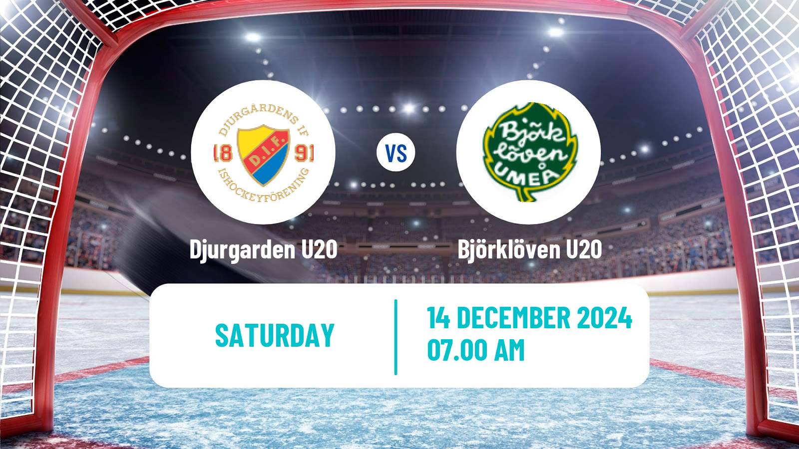 Hockey Swedish Superelit U20 Hockey Djurgarden U20 - Björklöven U20