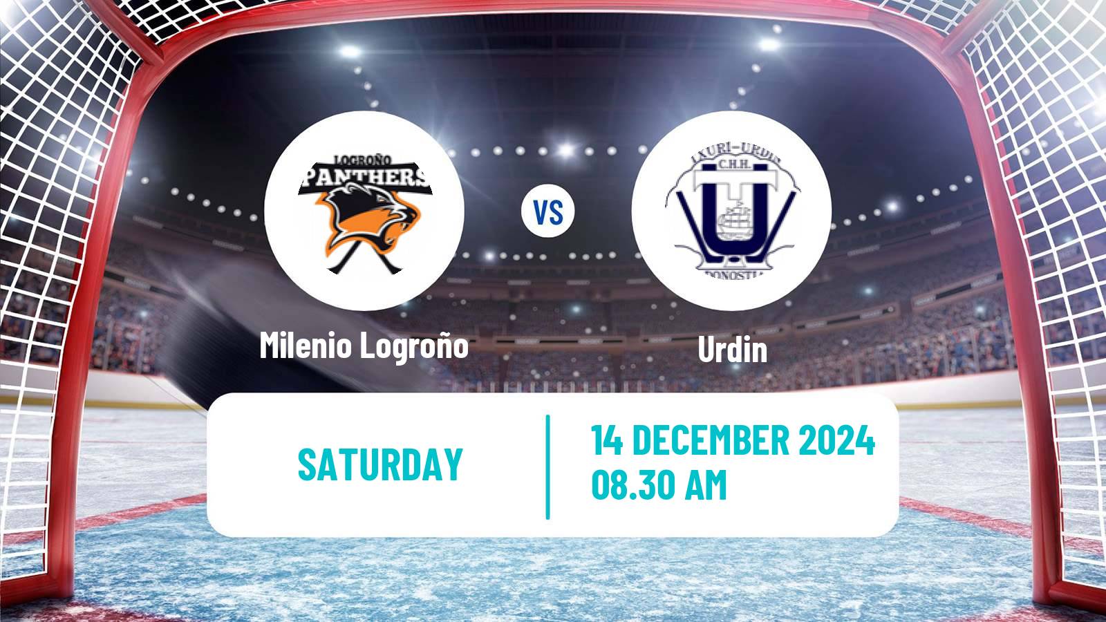 Hockey Spanish LNHH Milenio Logroño - Urdin