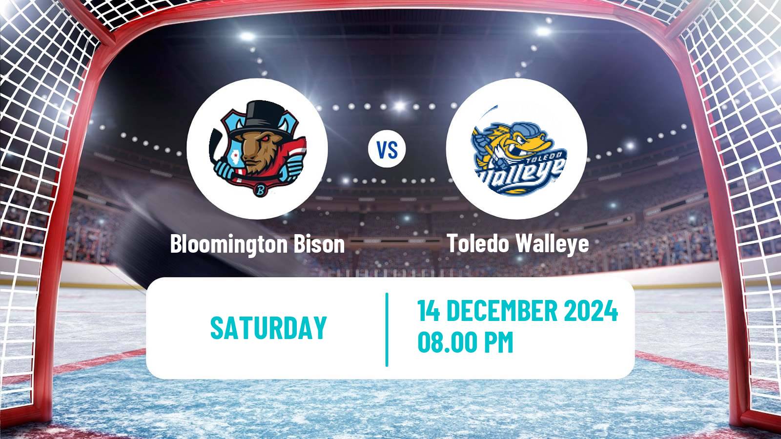 Hockey ECHL Bloomington Bison - Toledo Walleye