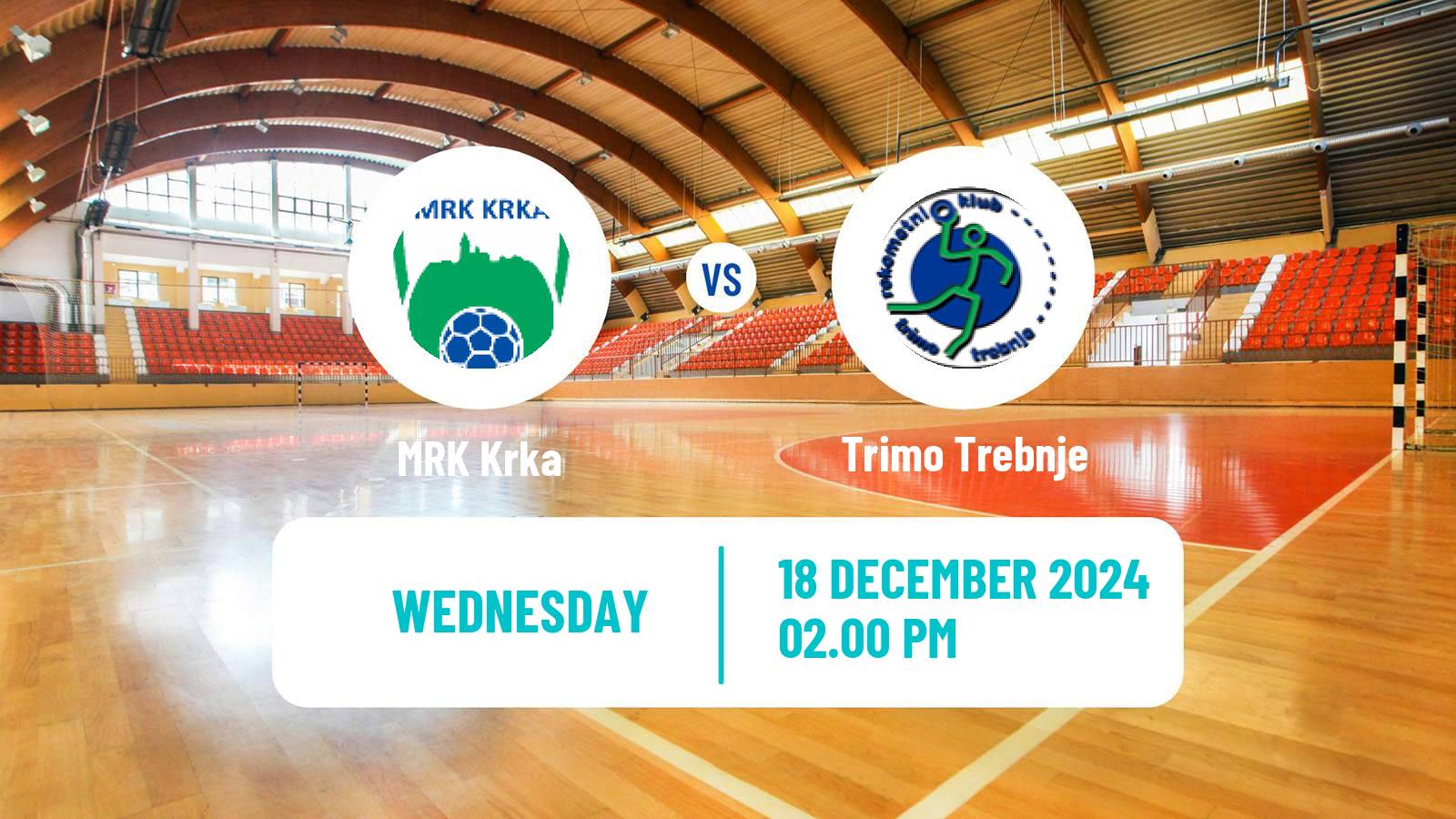 Handball Slovenian Cup Handball Krka - Trimo Trebnje