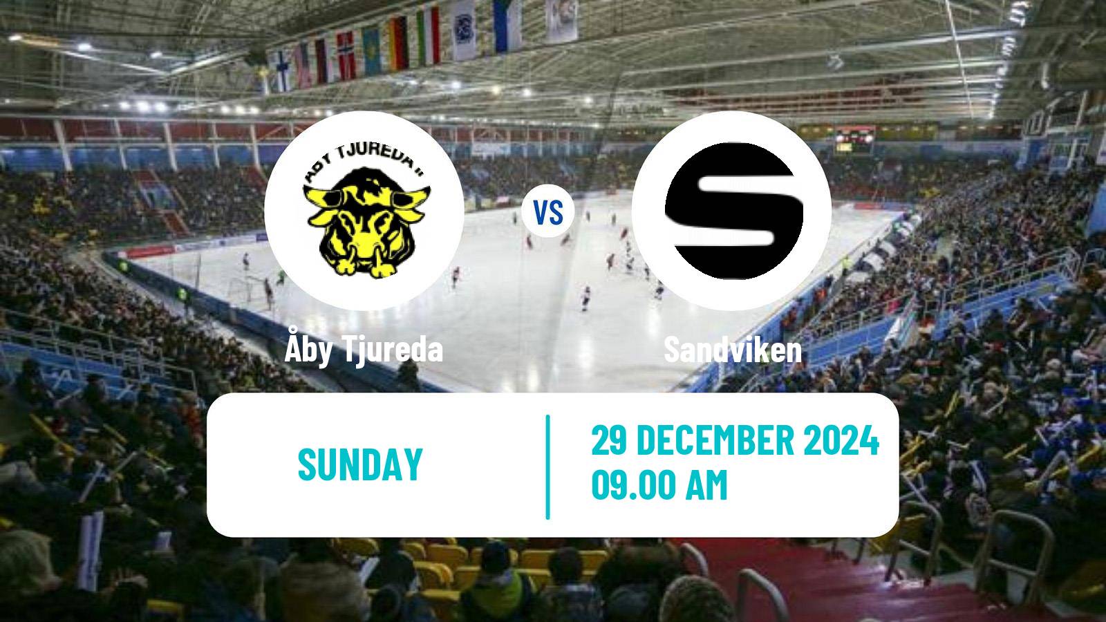 Bandy Swedish Elitserien Bandy Åby Tjureda - Sandviken