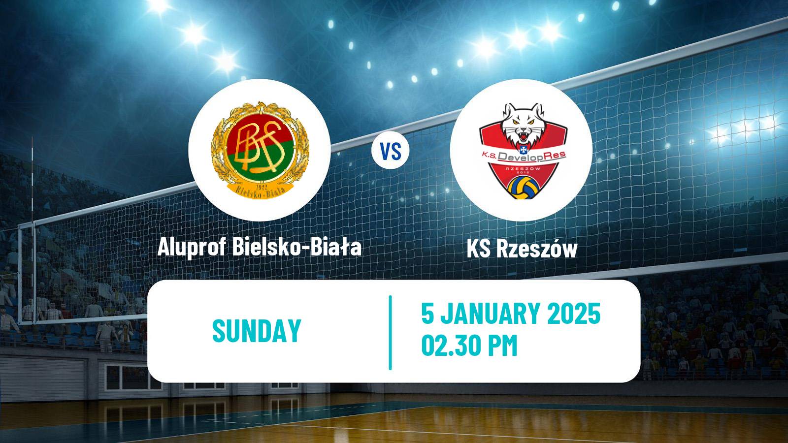 Volleyball Polish Liga Siatkowki Women Aluprof Bielsko-Biała - KS Rzeszów