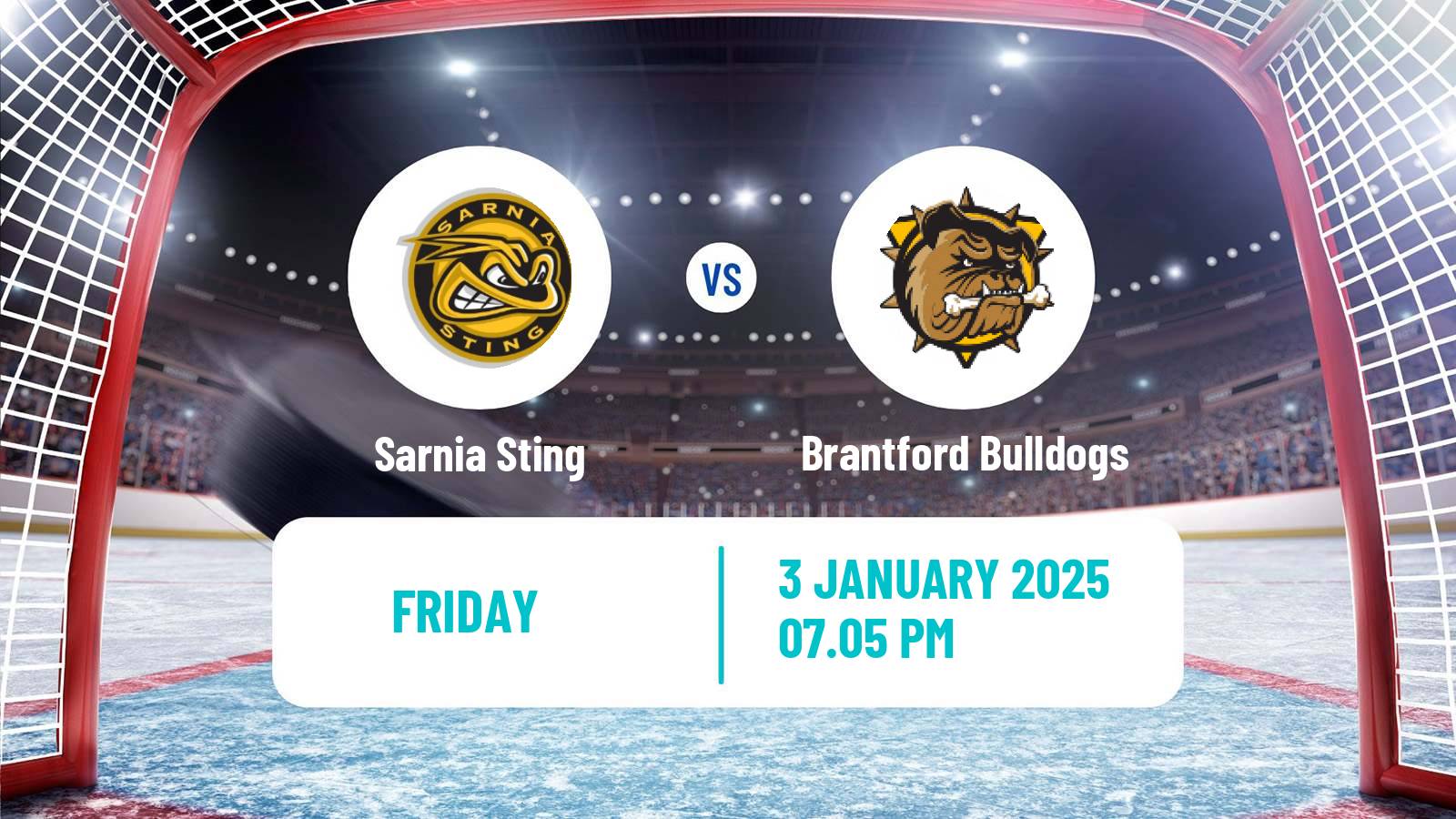 Hockey OHL Sarnia Sting - Brantford Bulldogs