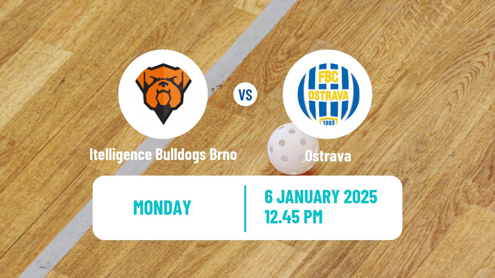 Floorball Czech Superliga Floorball Itelligence Bulldogs Brno - Ostrava