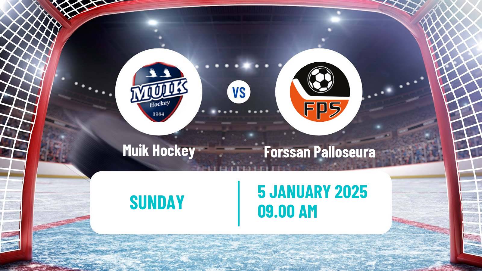 Hockey Finnish Suomi-sarja Muik Hockey - Forssan Palloseura