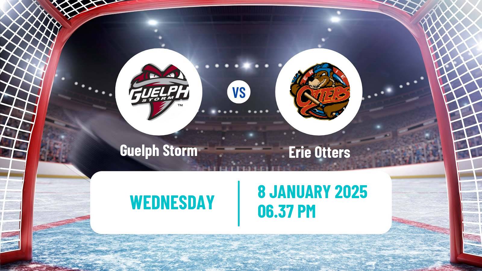 Hockey OHL Guelph Storm - Erie Otters