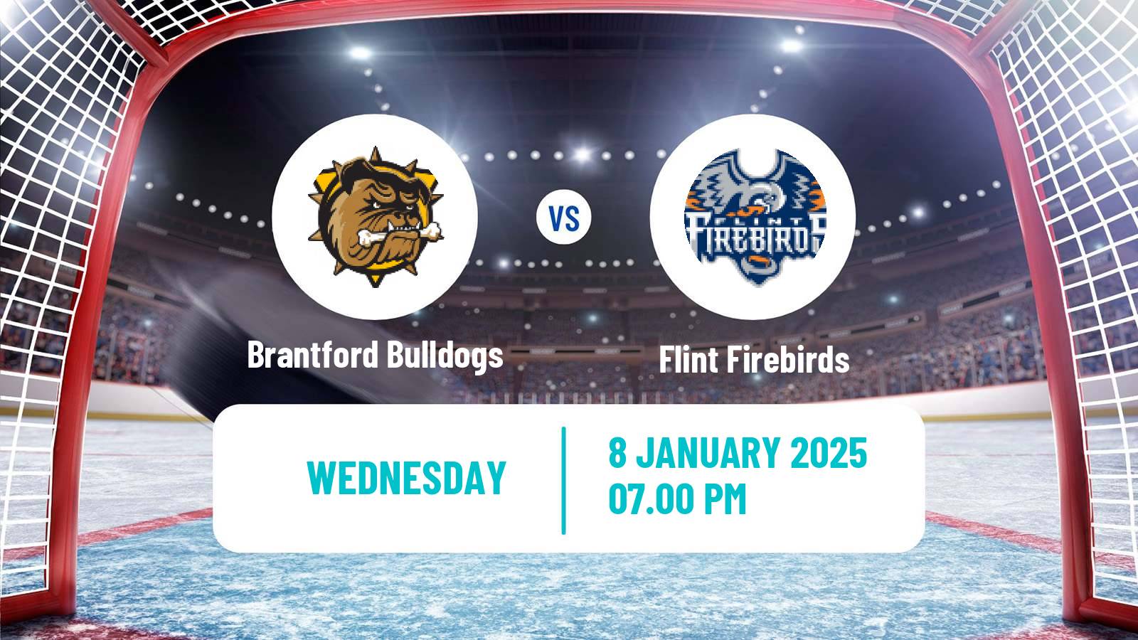 Hockey OHL Brantford Bulldogs - Flint Firebirds