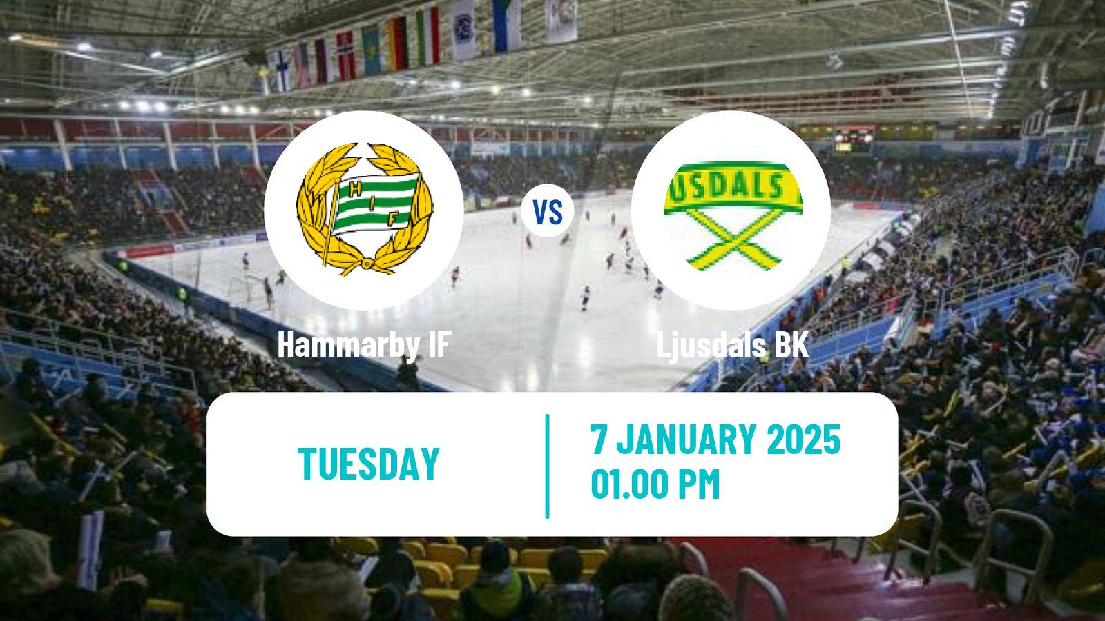 Bandy Swedish Elitserien Bandy Hammarby IF - Ljusdal