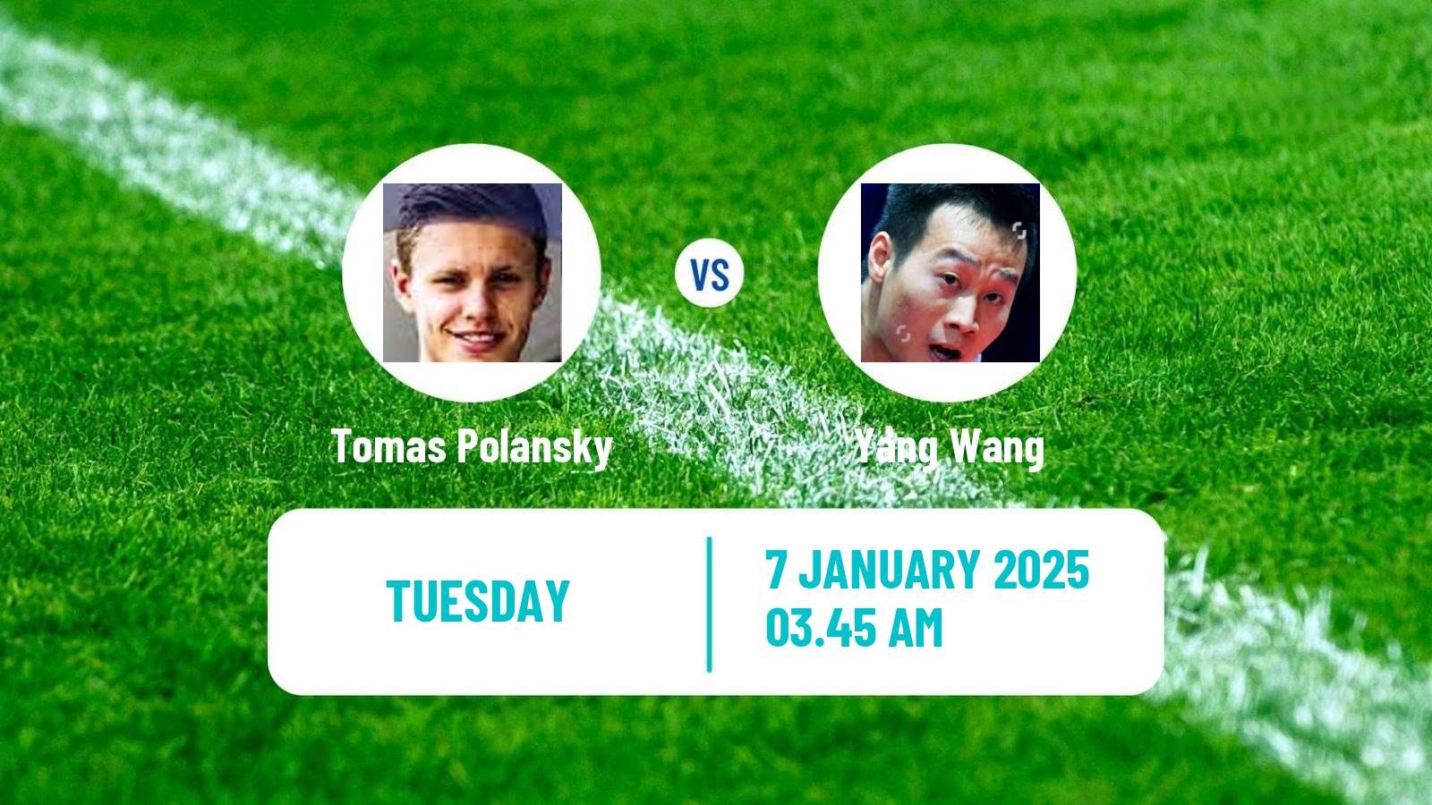 Table tennis Wtt Star Contender Doha Men Tomas Polansky - Yang Wang