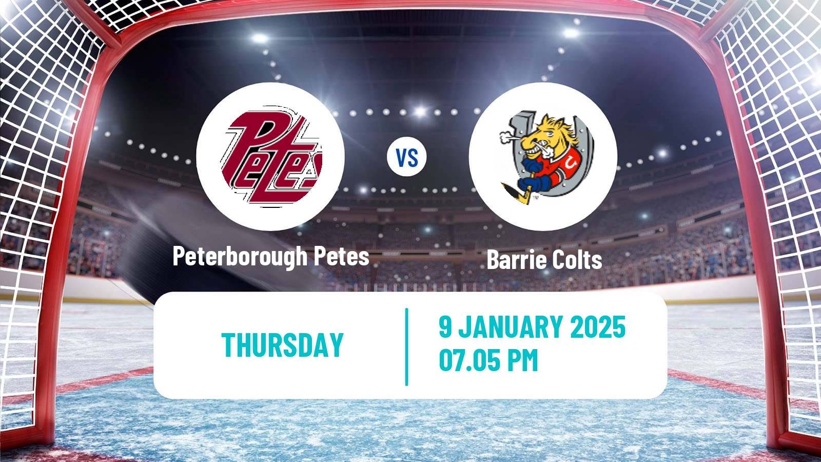 Hockey OHL Peterborough Petes - Barrie Colts