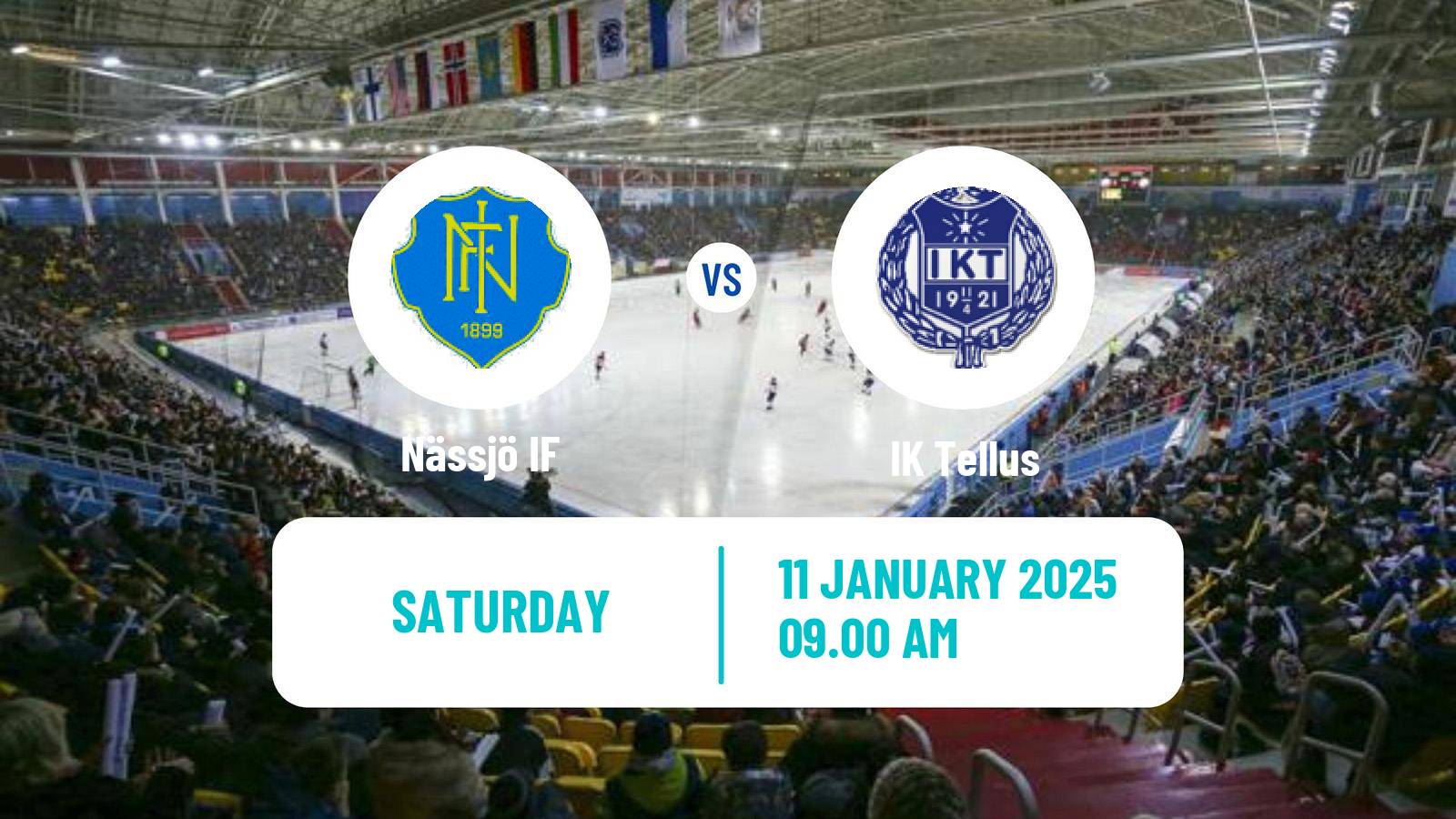 Bandy Swedish Allsvenskan Bandy Nässjö - Tellus