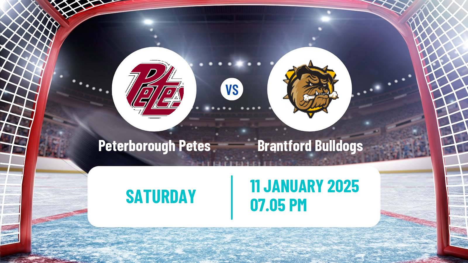 Hockey OHL Peterborough Petes - Brantford Bulldogs