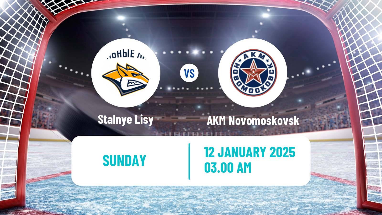 Hockey MHL Stalnye Lisy - AKM Novomoskovsk