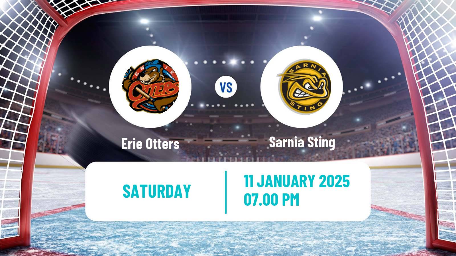 Hockey OHL Erie Otters - Sarnia Sting