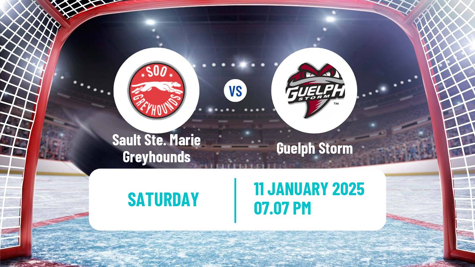 Hockey OHL Sault Ste. Marie Greyhounds - Guelph Storm