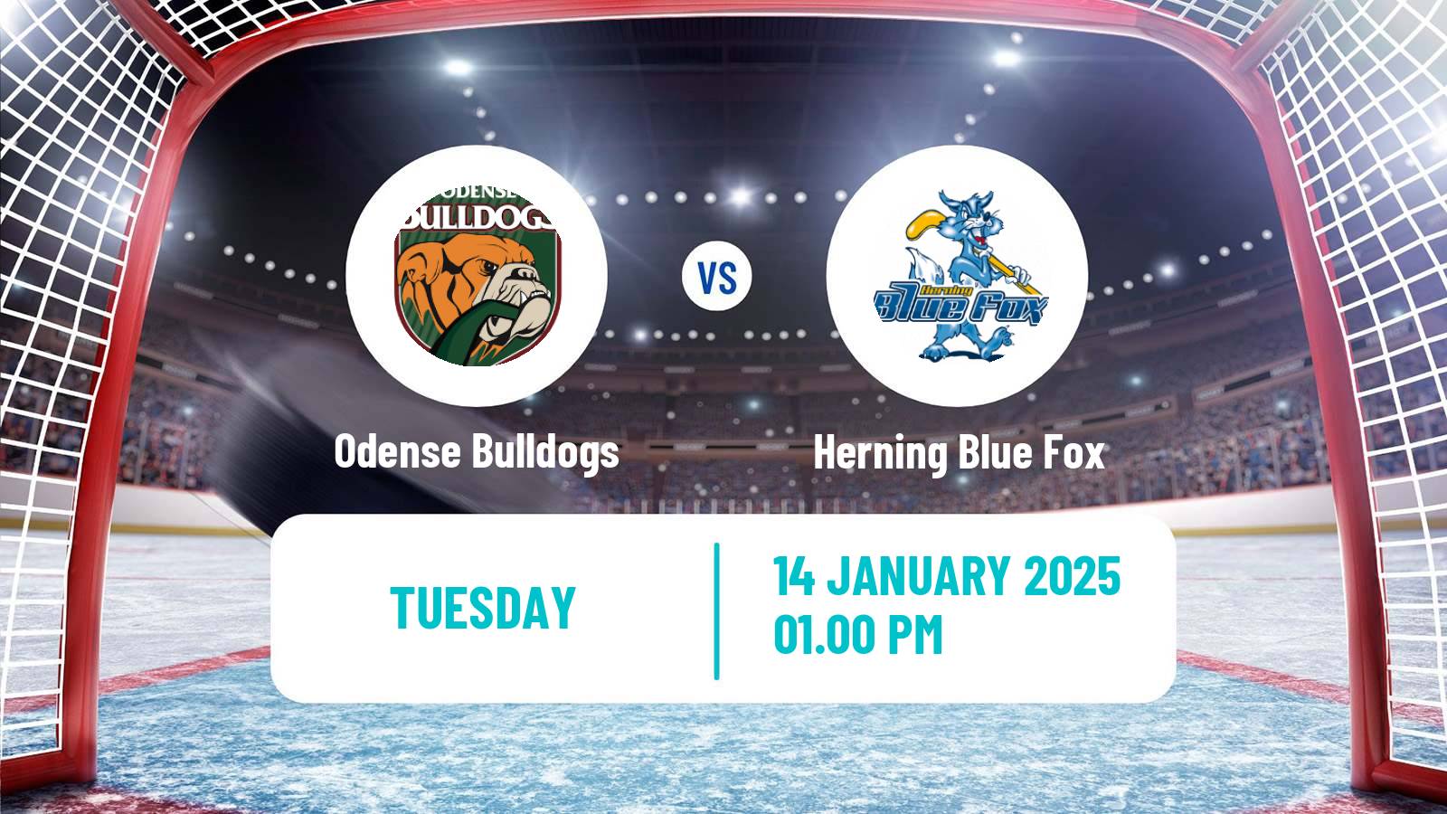 Hockey Danish Ishockey Ligaen Odense Bulldogs - Herning Blue Fox