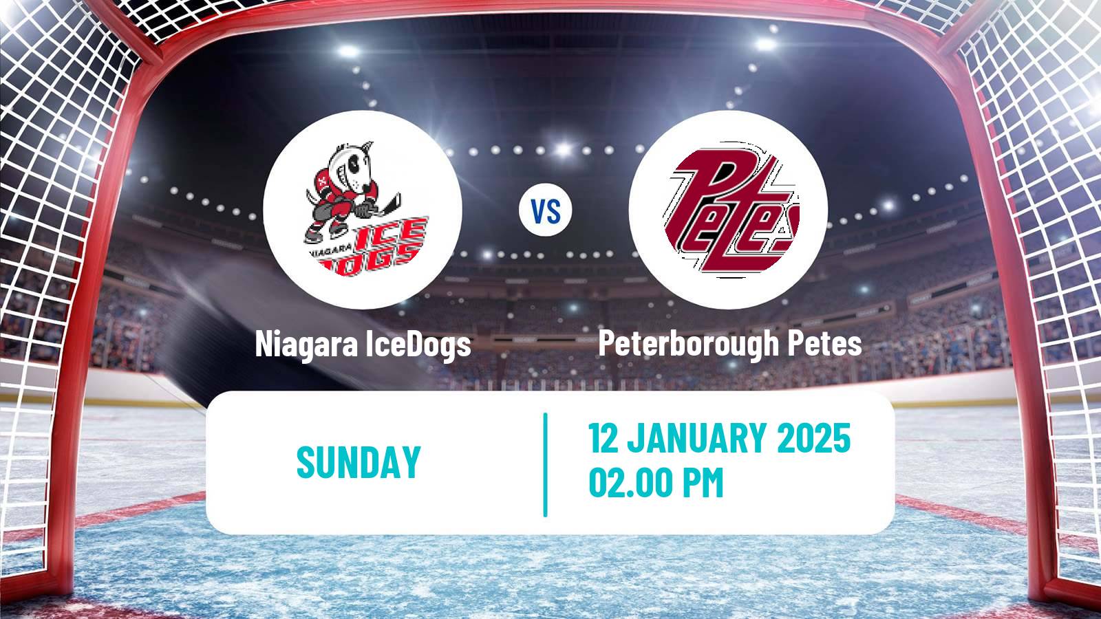 Hockey OHL Niagara IceDogs - Peterborough Petes