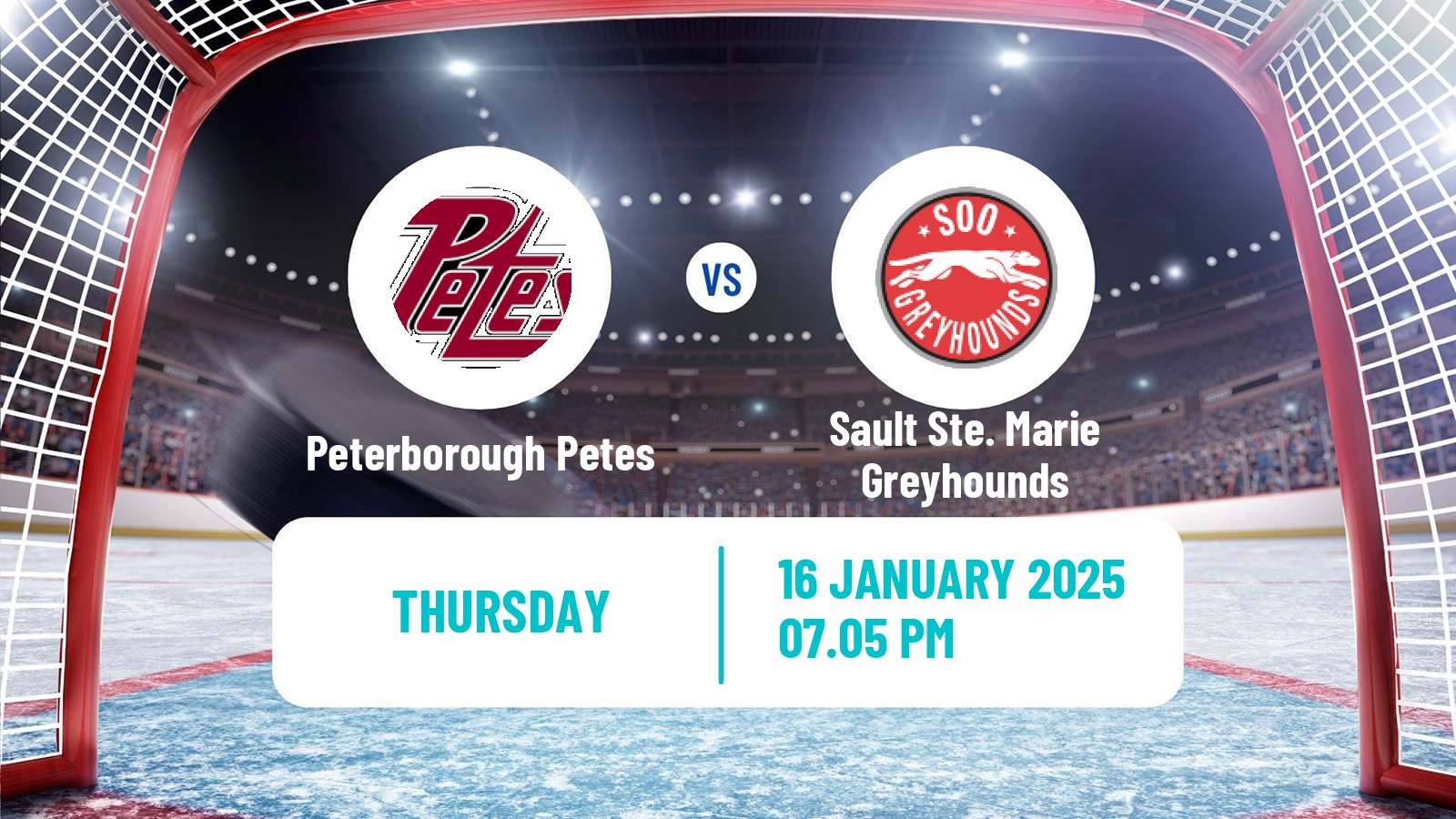 Hockey OHL Peterborough Petes - Sault Ste. Marie Greyhounds