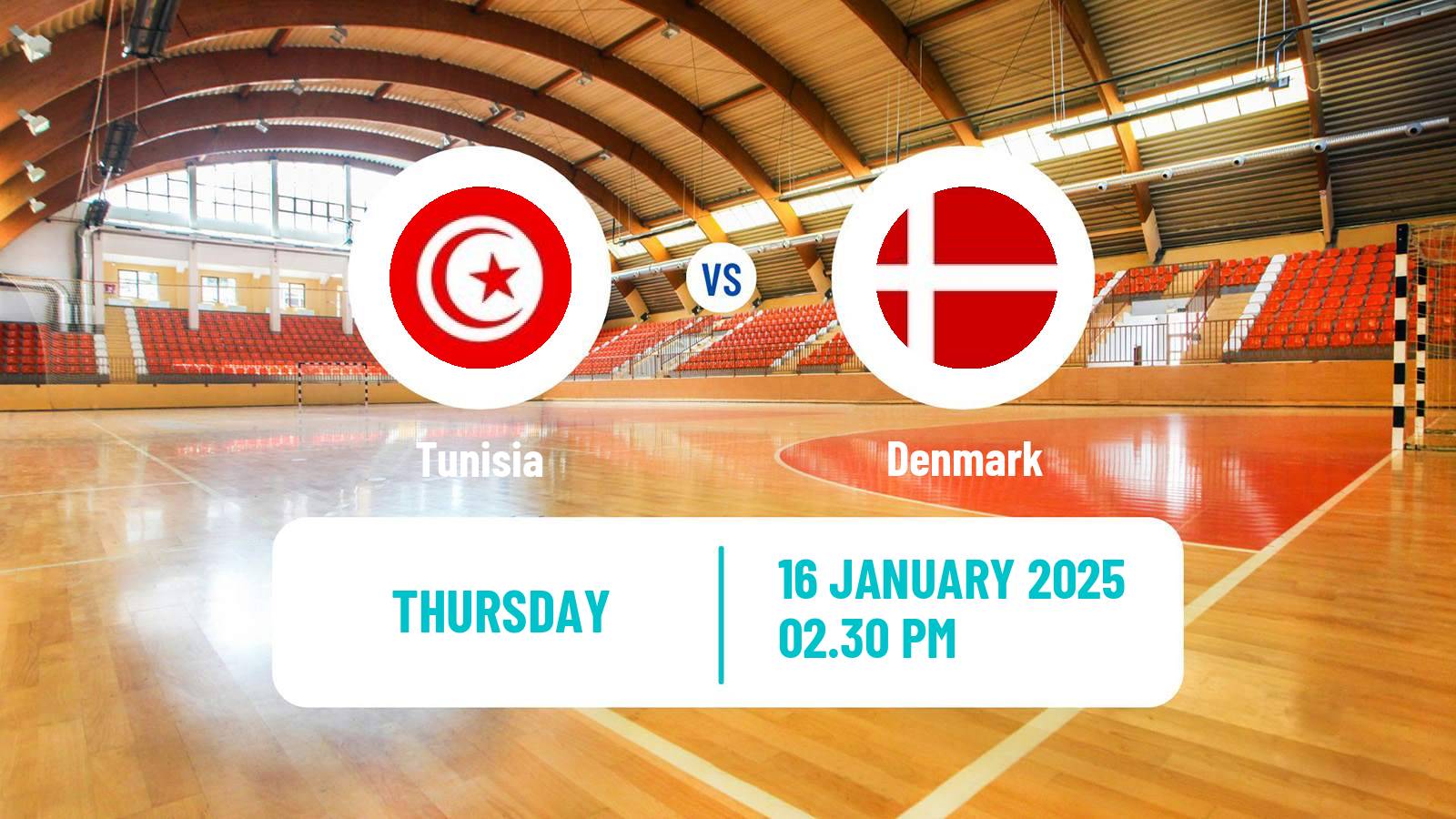 Handball Handball World Championship Tunisia - Denmark