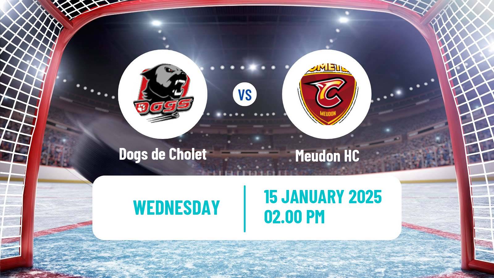 Hockey French D1 Ice Hockey Dogs de Cholet - Meudon