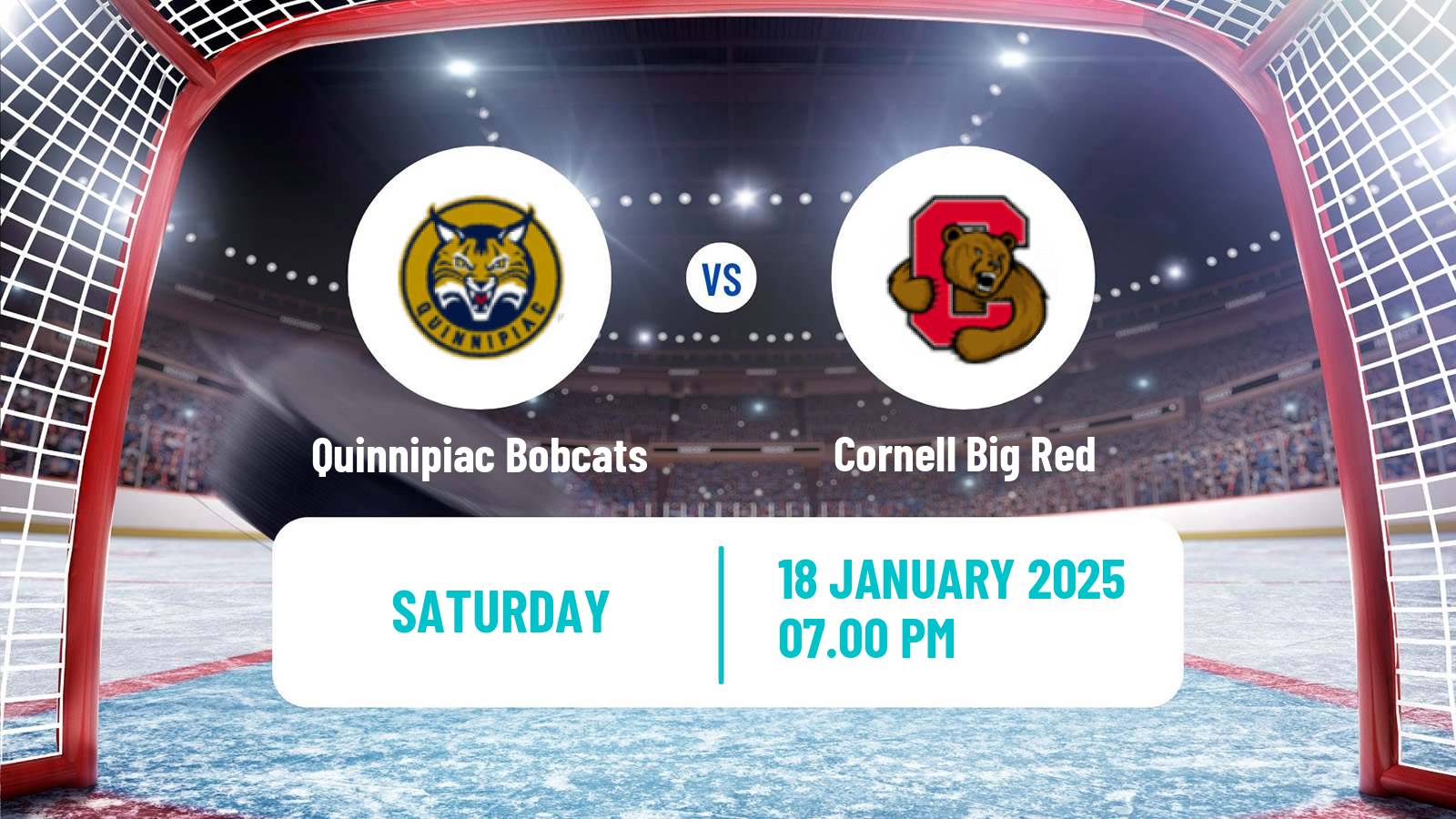 Hockey NCAA Hockey Quinnipiac Bobcats - Cornell Big Red