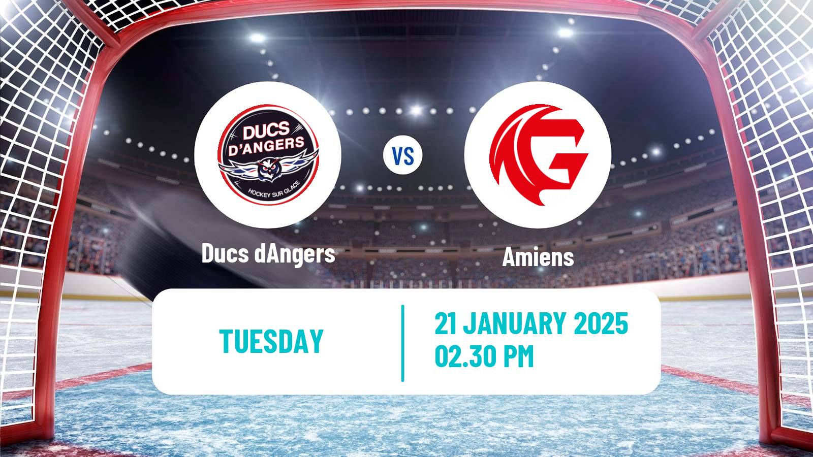 Hockey French Ligue Magnus Angers - Amiens